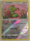 Kecleon