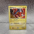 Pachirisu