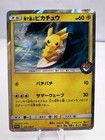 Playing in the Sea Pikachu 