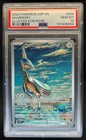 Skarmory