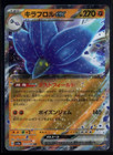 Glimmora ex