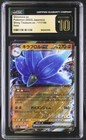 Glimmora ex