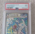 Gyarados ex