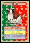 Pidgey