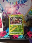 Torterra