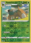 Torterra