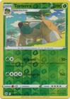 Torterra
