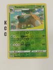 Torterra