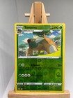 Torterra