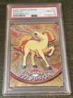 Ponyta