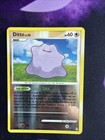 Ditto