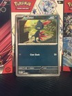 Sneasel