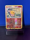 Torchic
