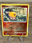 Torchic
