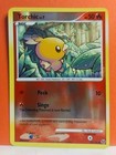 Torchic