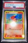 Torchic