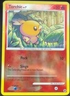 Torchic