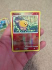 Torchic