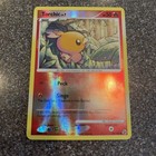 Torchic