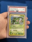 Grovyle