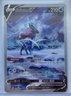 Suicune V