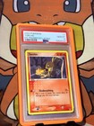 Torchic