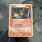 Torchic