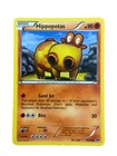 Hippopotas
