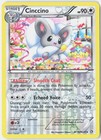 Cinccino