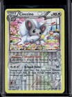 Cinccino