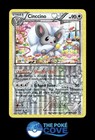 Cinccino