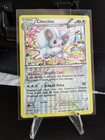 Cinccino