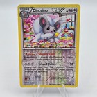 Cinccino