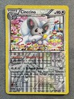 Cinccino
