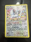 Cinccino