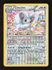 Cinccino