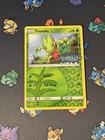 Treecko