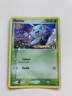 Illumise