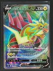Dracozolt V