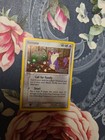 Rattata
