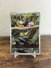 Aipom