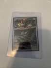 Aipom