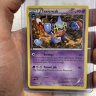 Toxicroak