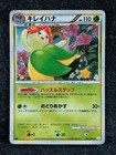 Bellossom