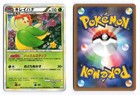 Bellossom