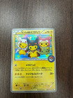 Poncho-Wearing Pikachu 