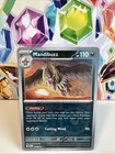 Mandibuzz