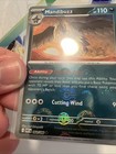 Mandibuzz