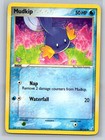 Mudkip