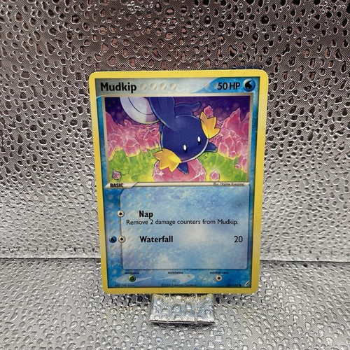 Mudkip